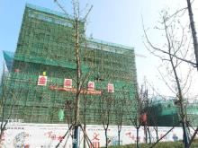 扬州市邗江区卫计委邗江公共卫生中心建筑工程现场图片