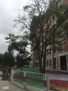 西北师范大学文科实验实训中心项目（甘肃兰州市）现场图片