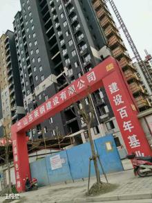 上海市罗店大型居住社区经济适用房C12地块工程（上海中冶联杨置业有限公司）现场图片