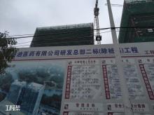 上海盛迪医药有限公司研发总部项目（上海市浦东新区）现场图片