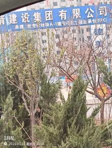 山东济南市老党校地块A-1建设项目现场图片