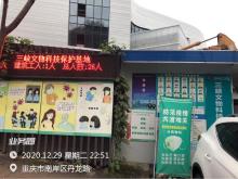 重庆中国三峡博物馆文物科技保护中心项目（重庆市南岸区）现场图片