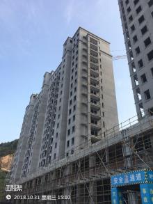 温岭市城西街道吴山村村民委员会村民公寓式住宅（一期）现场图片