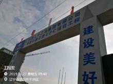 辽宁沈阳市中德公馆项目现场图片