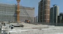 上海市均瑶（集团）有限公司康桥东路独立式商业用房建设项目（上海市浦东新区）现场图片