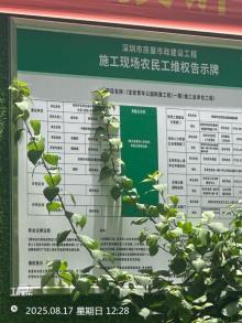 广东深圳市宝安区青年公园工程现场图片
