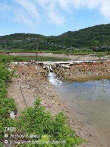 广东深圳市东涌红树林湿地园建设项目现场图片