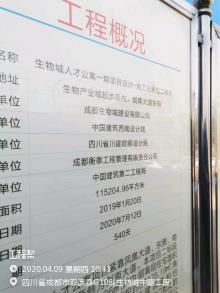 四川成都市生物城人才公寓一期项目现场图片