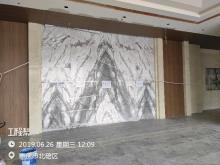 重庆市两江新区水土组团A标准分区A02-1-01号地块工业发展（重庆华邦制药有限公司）现场图片