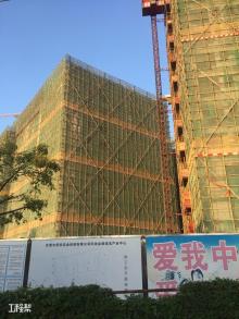 东莞市侨安实业投资有限公司凤岗金银珠宝产业中心现场图片