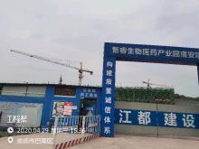 重庆市宸安生物制药有限公司智睿生物医药产业园项目（重庆市巴南区）现场图片