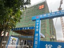 东莞市常平镇横江厦股份经济联合社帝源新材高分子材料项目1号厂房、2号宿舍、3号厂房（广东东莞市）现场图片