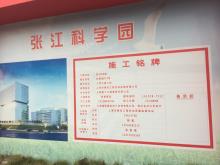 上海市浦东新区张江科学园(张江科创园区)建设工程现场图片