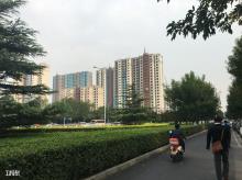 北京市丽泽金融商务区A02定向安置房及幼儿园项目现场图片