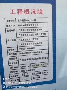 黑牛食品营销有限公司黑牛科创中心建设项目（广东广州市）现场图片