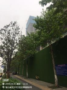 湖北武汉市华中中交城A区建设工程(武汉市P(2016)021号地块)(综合发展)现场图片