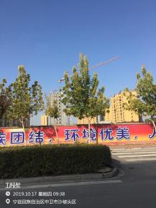 中卫市民政精神病福利院项目（中卫市民政局）现场图片