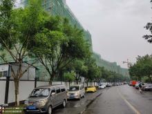 重庆博文实业有限公司博文标准厂房项目（重庆市南岸区）现场图片