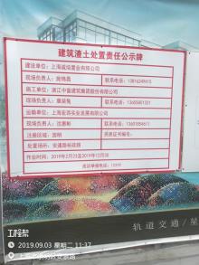 上海市崇明区陈家镇CMSA0003单元18A-04A(裕安中心区11号)地块综合项目（东滩商务广场）现场图片