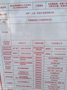 上海市宝山区淞南镇N12-0102单元04-01地块商办发展项目(含酒店)（联亨(上海)房地产发展有限公司）现场图片