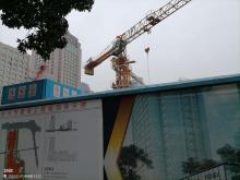 浙江杭州市杭政储出（2018）13号地块商业商务用房项目现场图片