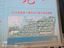 浙江杭州市之江实验室一期工程—之达路工程现场图片