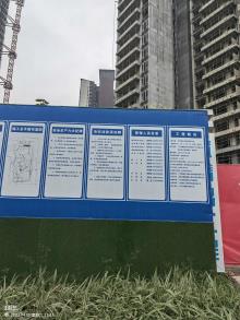 广东广州市文冲城中村改造项目地块五住宅楼、商业及配套项目现场图片