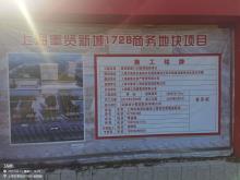 上海市奉贤区奉贤新城17单元28F-01区域地块（1728商务地块）项目现场图片