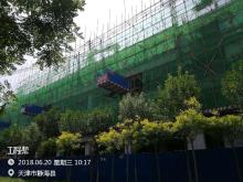 天津尚药堂生物科技有限公司中医药饮片厂房建设项目（天津市静海区）现场图片