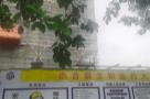 广东广州市杰合燊生物医药大楼项目现场图片