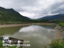 广东深圳市东涌红树林湿地园建设项目现场图片