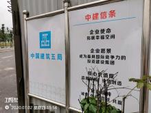 重庆渝高新兴科技发展有限公司中德（龙盛）高端制造产业园绿化景观工程（重庆市两江新区）现场图片