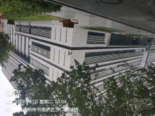 郑州大学体育学院图文信息综合楼项目（河南郑州市）现场图片