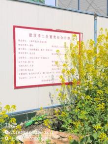 上海第四社会福利院项目一期（上海市松江区）现场图片