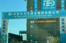 东莞市德丰项目投资有限公司德丰电创总部及智能研发生产项目（广东东莞市）现场图片