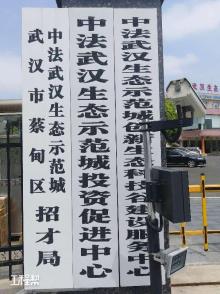 湖北武汉市中法武汉生态示范城会议中心（中法武汉生态示范城投资开发有限公司）现场图片