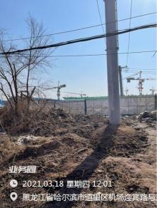 哈尔滨市中医医院异地新建项目（黑龙江哈尔滨市）现场图片