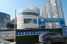 广东广州市南沙体育馆片区项目现场图片