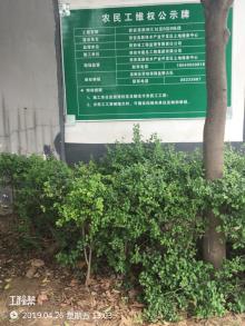 陕西西安市高新创汇社区B区（地块一）现场图片