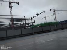 重庆红九九食品有限公司C区N01-1地块工业项目（重庆市大渡口区）现场图片