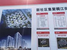 浙江义乌市新社区集聚稠江街道古母塘北侧地块工程现场图片