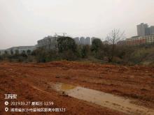 湖南长沙市斑马湖万达广场配套住宅项目现场图片