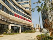 广东广州市海珠区妇女儿童医院项目（BIM）现场图片