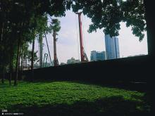 广东佛山市南海文化中心项目现场图片