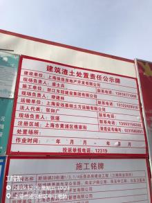 上海市浦东新区新场镇20街坊1/3，1/4丘商品房(三期商业项目)现场图片