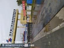 西安丝路创新发展有限公司西部生命科学园建设项目（陕西西安市）现场图片