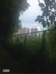 深圳市光明平板显示园人才住区工程（深圳盐田港集团有限公司）现场图片