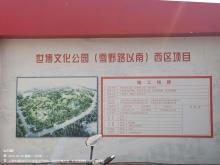 上海市浦东新区世博文化公园（雪野路以南）西区项目现场图片