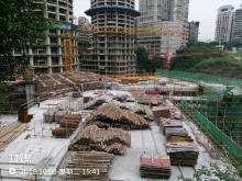 重庆隆鑫地产集团(有限)公司重庆中心项目(综合体)(五星级)（重庆市渝中区）现场图片