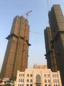 湖北武汉市新华·尚水湾建设项目现场图片